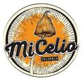 Micelio Colombia